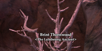 Brint Thornwood