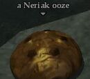 A Neriak ooze
