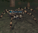 A voracious spinner