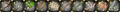 Sprite roots rare.png