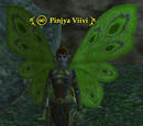 Pinjya Viivi