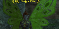 Pinjya Viivi