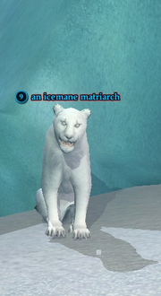 An icemane matriarch
