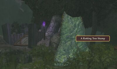 Rotting Stump