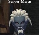 Server Meras