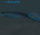 A shoal glider (Outpost of the Overlord)