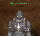 A Vallon sentry