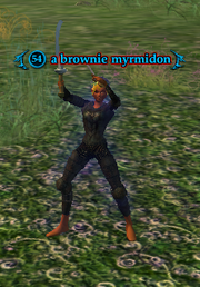 A brownie myrmidon
