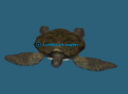 A coldbreach snapper