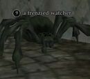 A frenzied watcher