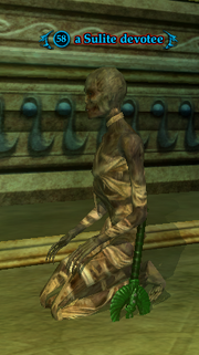 A Sulite devotee