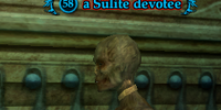 A Sulite devotee