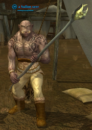 A Sullon seer