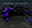 A skittish cave spider