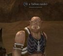 A Tallon raider