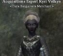 Acquisitions Expert Kyri Velkyn