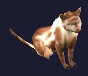 A highpass shorthair cat (Visible)