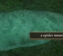 The Cave of Wonder