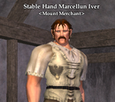 Stable Hand Marcellun Iver