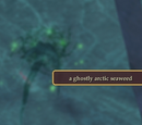 A Desperate Attempt