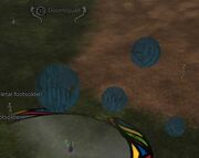 Doomsquall