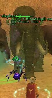 Wooly Tusk