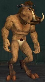 The Cerebus