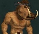 The Cerebus