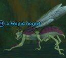 A Vespid hornet