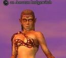 An Amazon hedgewitch