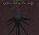 An Obdurate Parasite