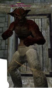 The Troll Plunderer