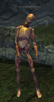 An undead explorer