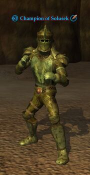 Champion of Solusek
