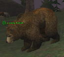 A young kodiak (Darklight Wood)