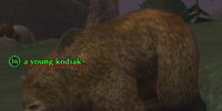 A young kodiak (Darklight Wood)