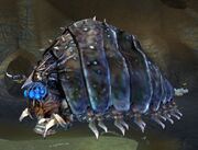 Race hive queen