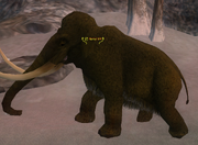 Tantor XII