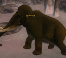 Tantor XII