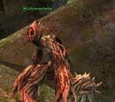 A briarroot horror