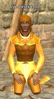 Vondorinsarnoo
