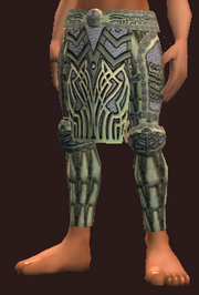 Naturewalker's Leather Pants of the Forestspeaker (Equipped)