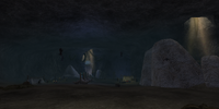 The Caves