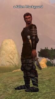 A fallen blackguard