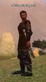 A fallen blackguard.jpg
