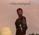 A fallen blackguard