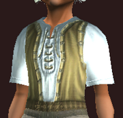 Opulent female gold blouse (Equipped)