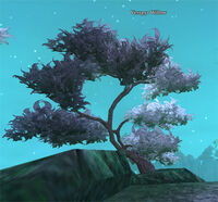 Vesspyr-willow-frosty-example