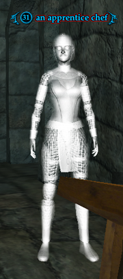 An apprentice chef