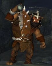 The Krulkiel Champion
